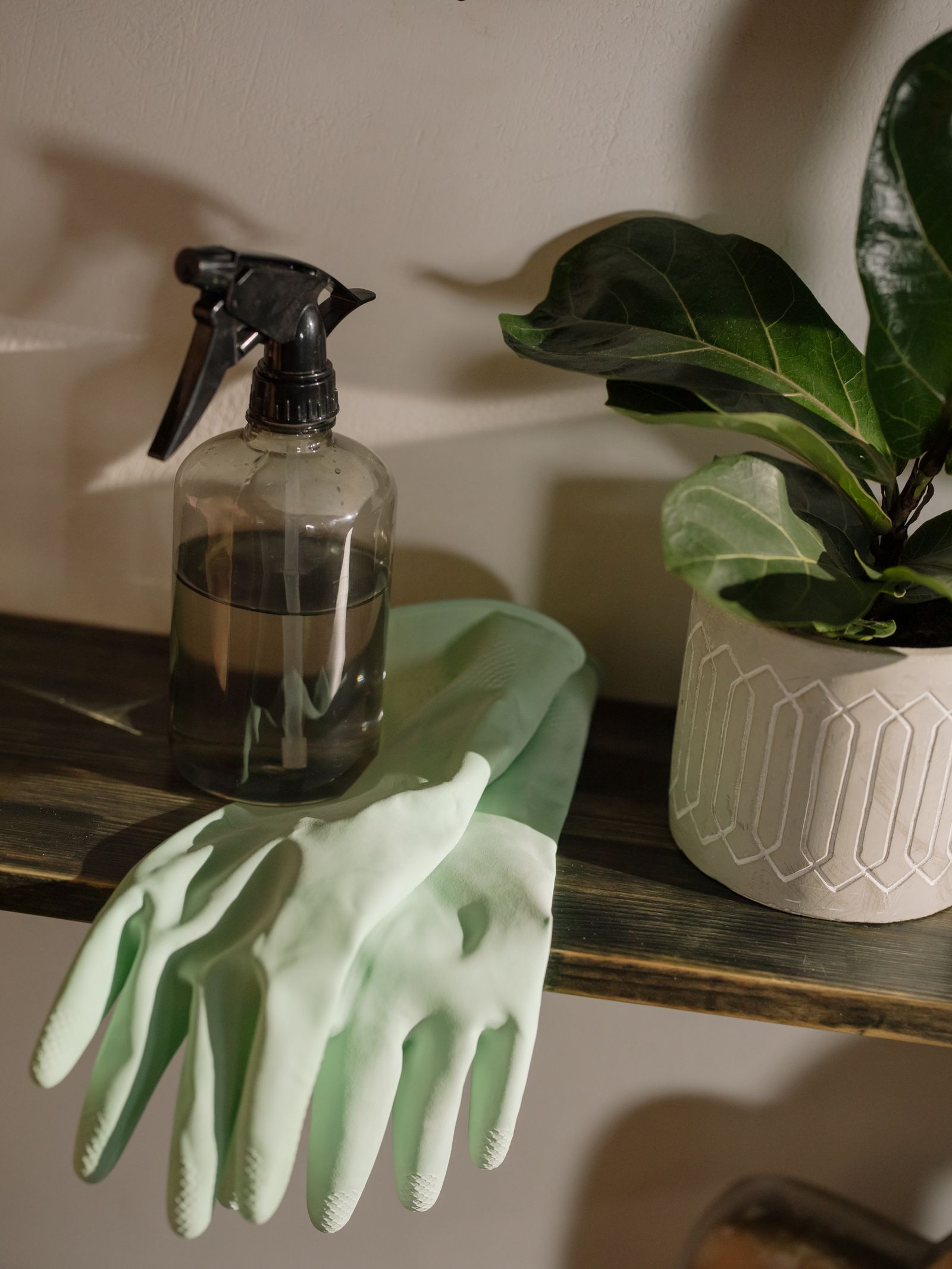 Eco-friendly spray bottle and fresh cleaning gloves beside a green plant on a clean shelf
